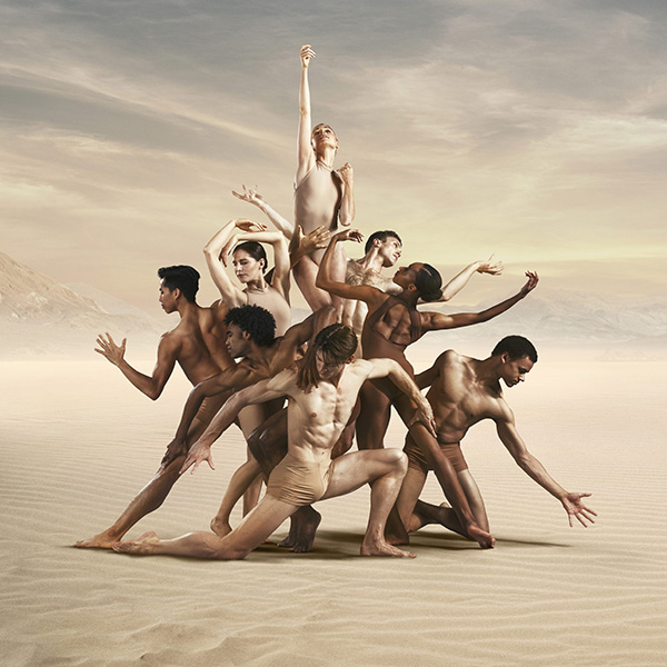 Elements of Dance
