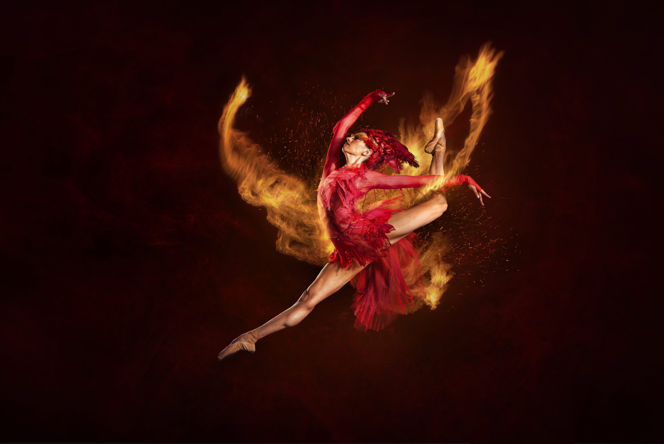 Elements of Dance