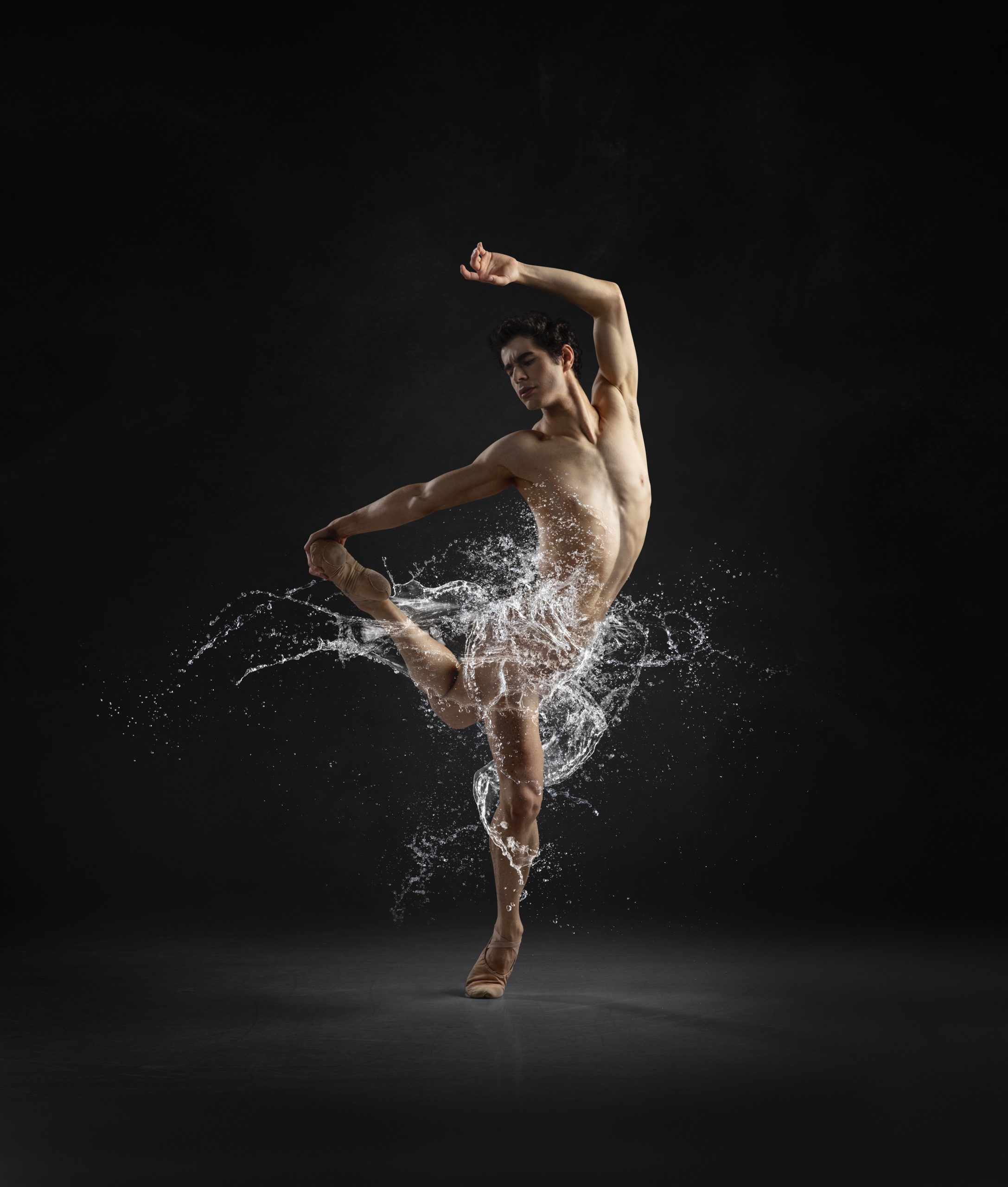 Elements of Dance