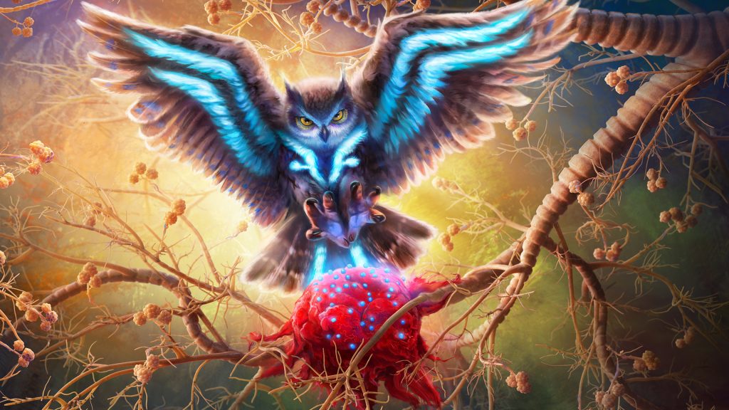 Owl