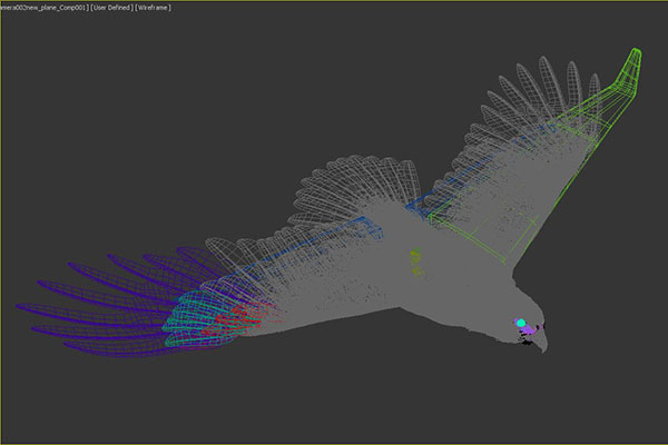 Eagle Plane