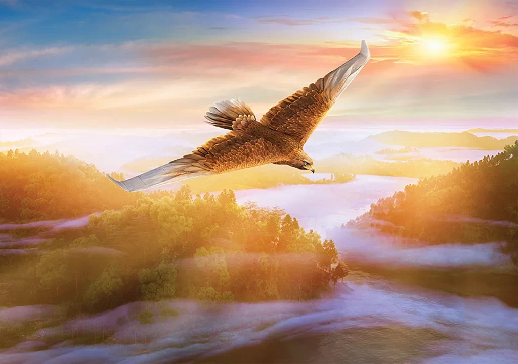 Eagle Plane