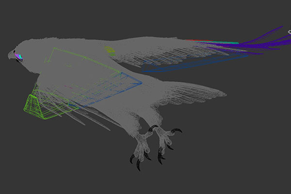 Eagle Plane