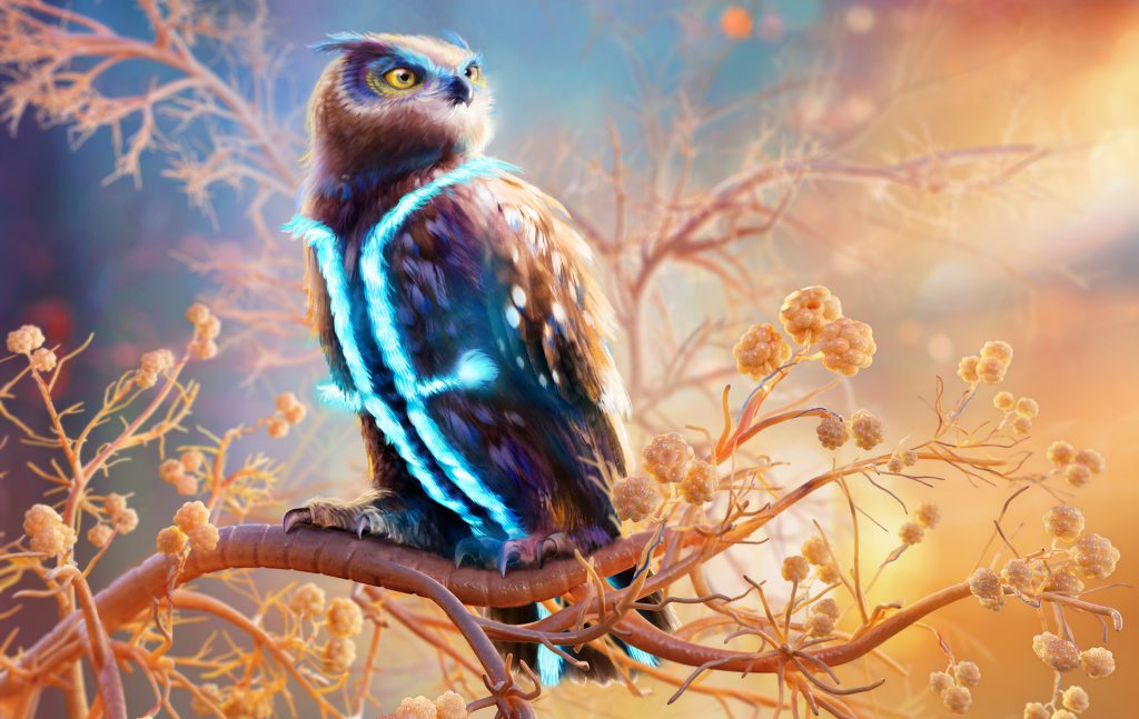 Owl