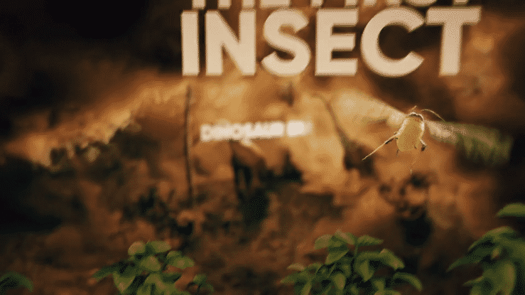 Ridgeback Insecticide