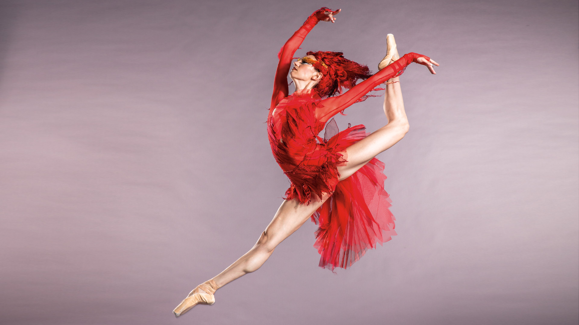 Elements of Dance