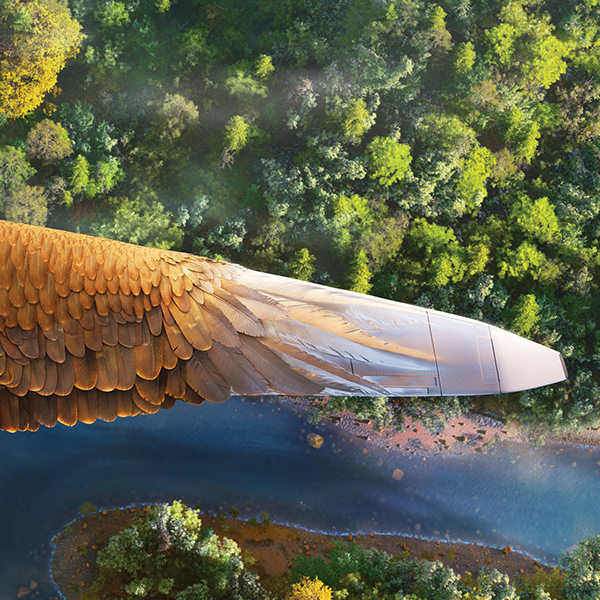 Eagle Plane
