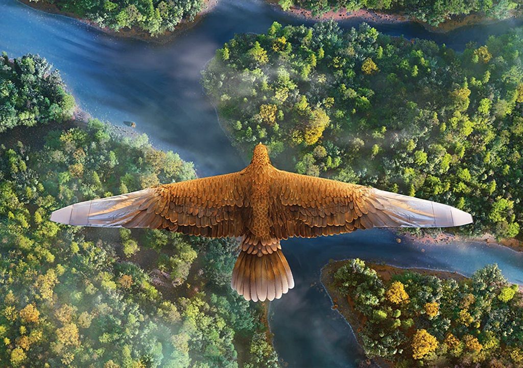 Eagle Plane