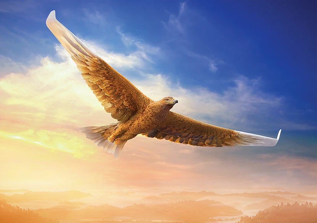 Eagle Plane