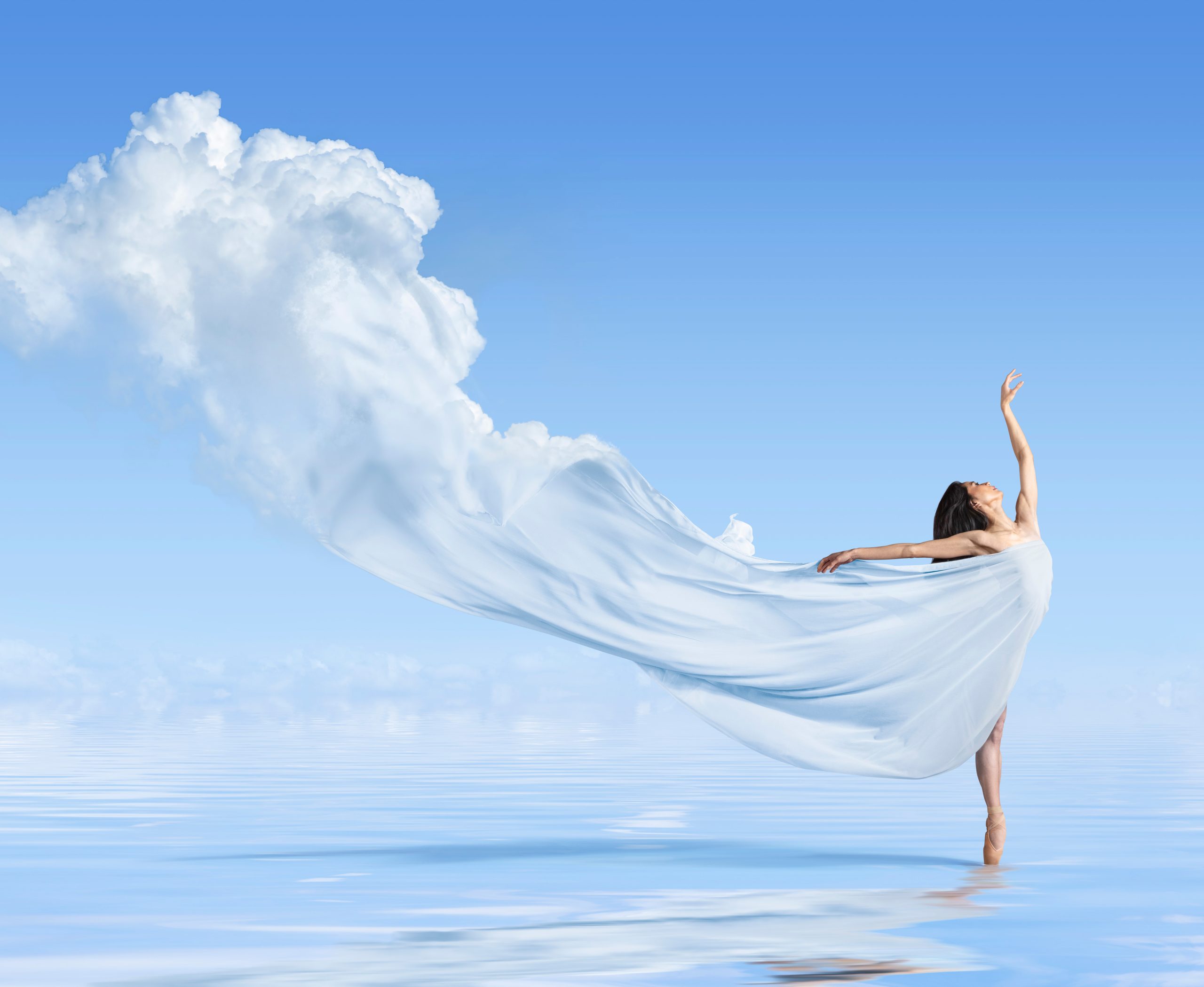 Elements of Dance