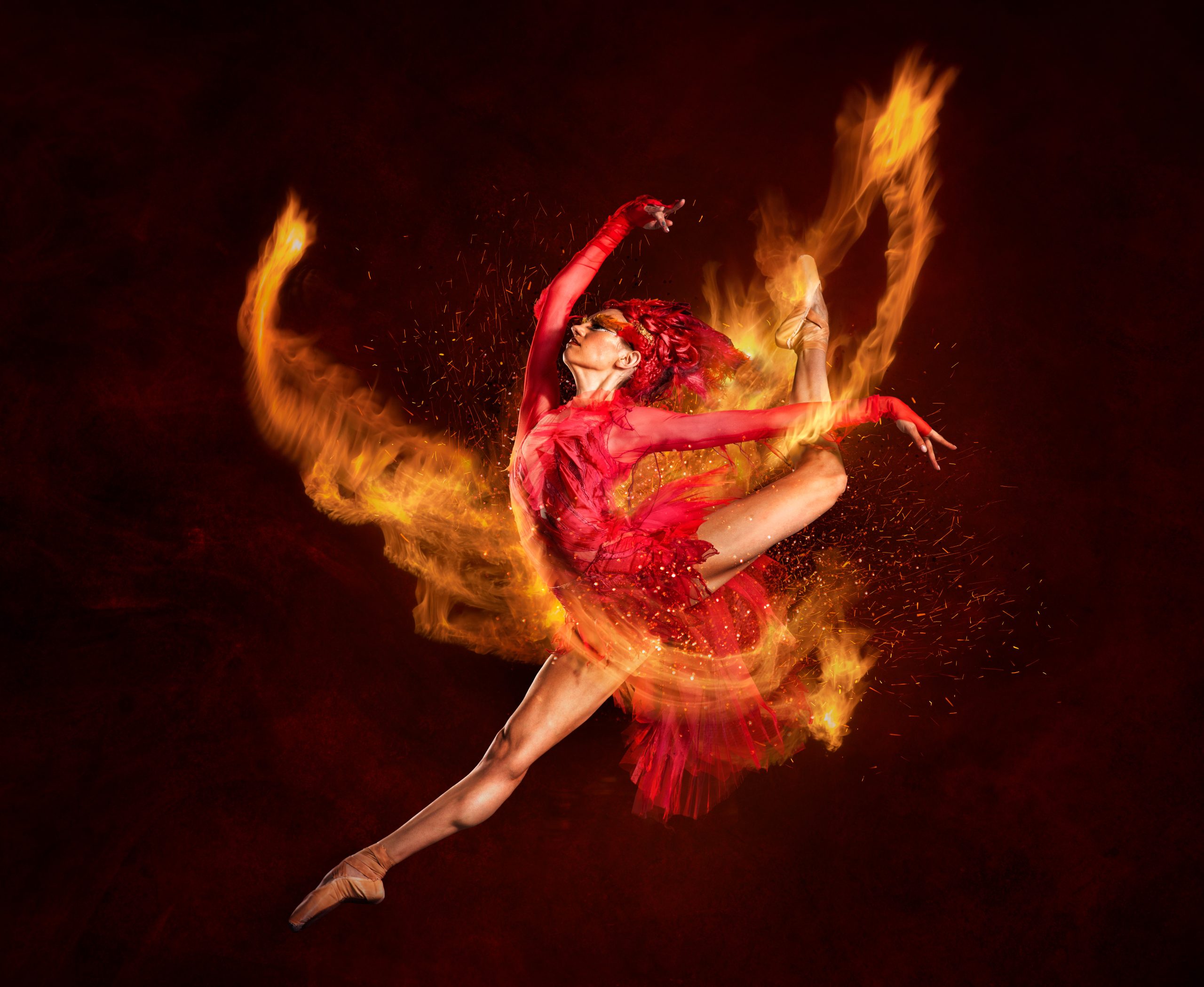 Elements of Dance
