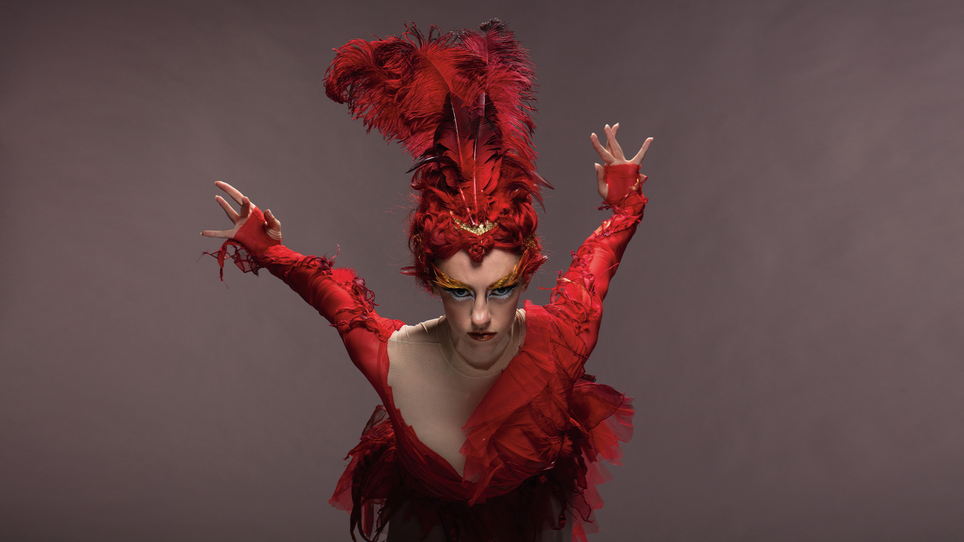 Elements of Dance